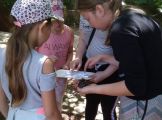 IMG_20190624_124615.jpg
