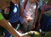 IMG_20190624_110135.jpg