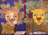 20201023_180609.jpg