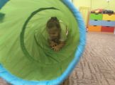 20201102_092926.jpg
