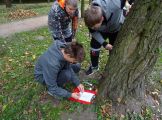 DSC04048.JPG