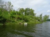 DSC05010.JPG