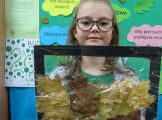 13.JPG