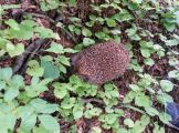 20160601_155110.jpg