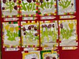 IMG_20230307_145556_3.jpg