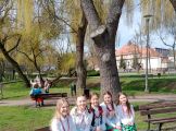 IMG_20230420_124355.jpg