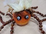IMG_20231010_071145.jpg