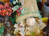 IMG_20231009_123418.jpg