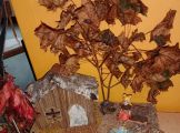 IMG_20231009_123531.jpg