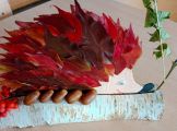 IMG_20231009_130529.jpg