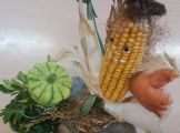IMG_20230929_084257.jpg