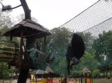 DSC00134.JPG