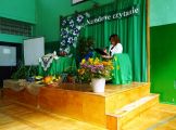 DSC08093.JPG