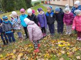 20161017_105728.jpg