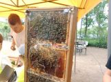 1000009639.jpg