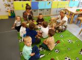 DSC03424.jpg