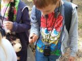 20170530_102521.jpg