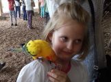 20170614_123334.jpg