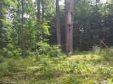 20170614_101818.jpg
