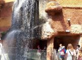 20180515_121736.jpg