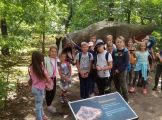 IMG_20180626_103748.jpg