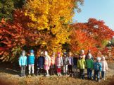 Resized_20181011_100200_9989.jpeg