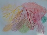 IMG-20181018-WA0027.jpg