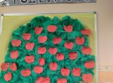 IMG_20181120_150033.jpg
