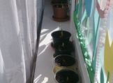 mms_img-101747366.jpg